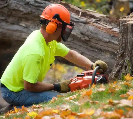 tree services Oakville